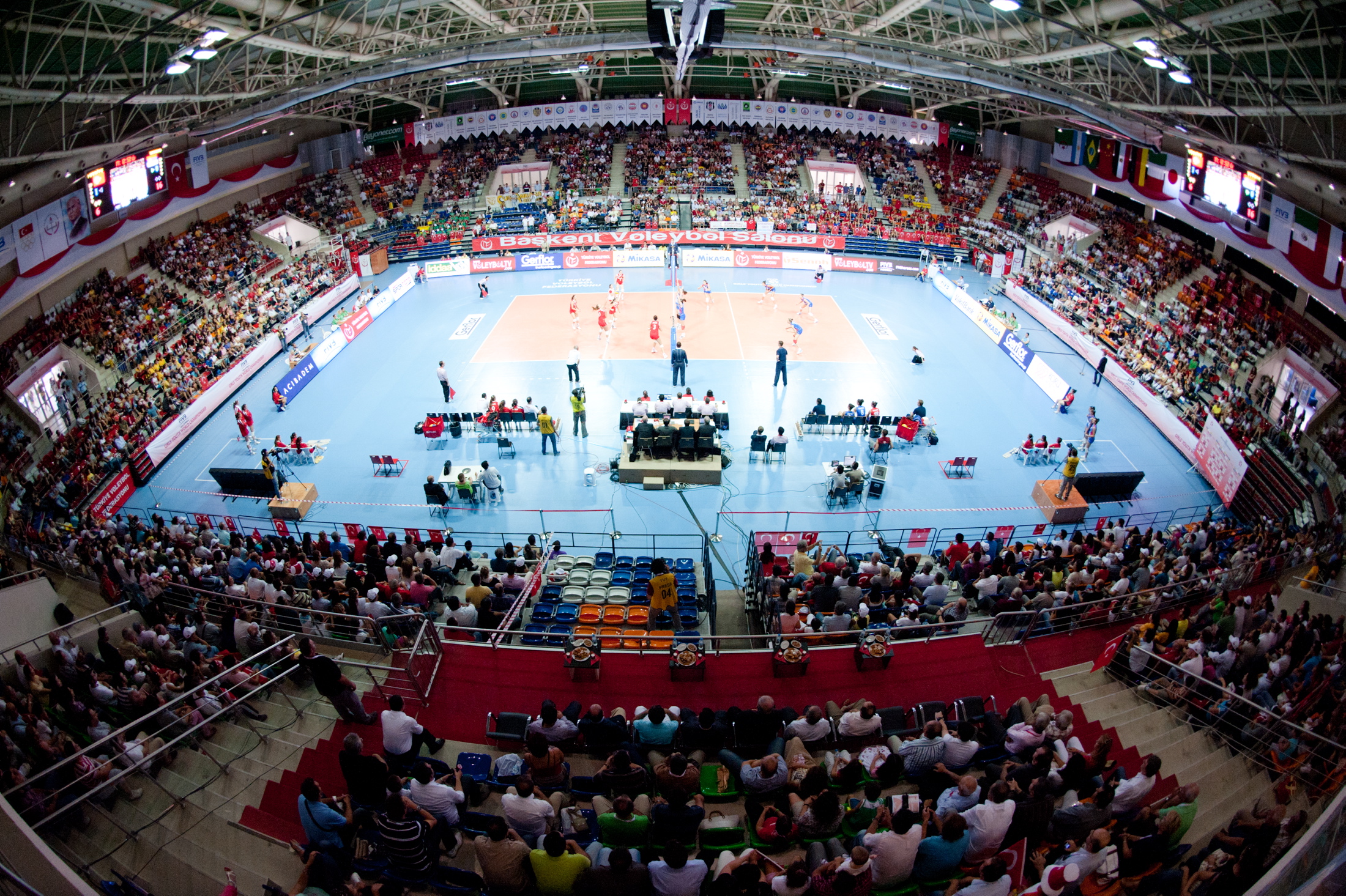Exploring Online Volleyball Betting