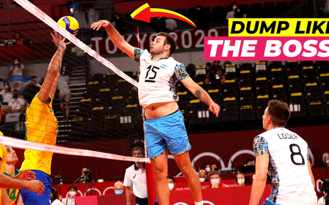 How to Setter Dump? Unique Guide for Setters to Surprise Everybody