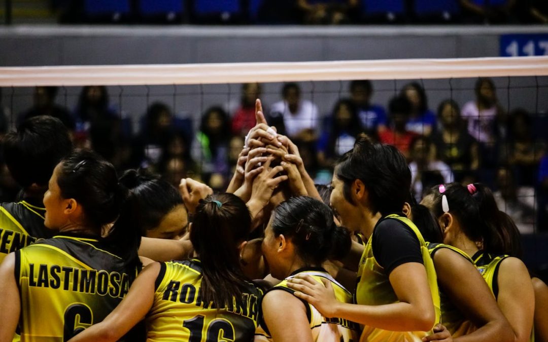 Understanding Volleyball Betting Odds: How to Read and Calculate Your Bets