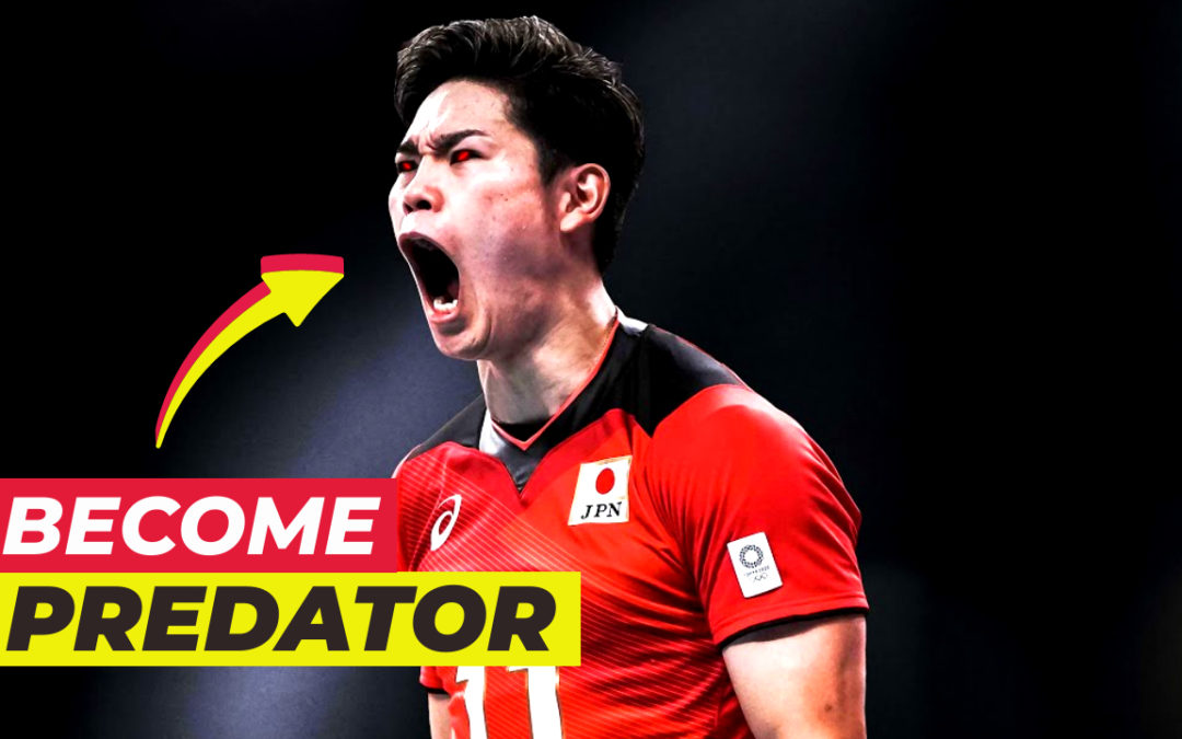 Advice for Playing Volleyball like a Predator (and WIN more GAMES)
