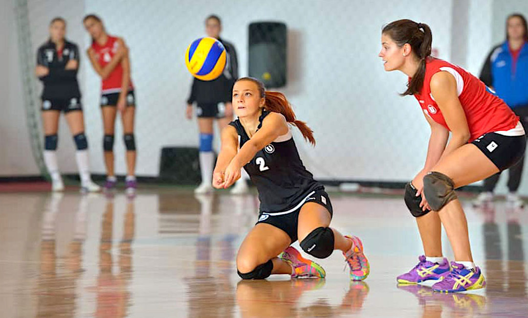 Volleyball XL: A Beginner’s Guide to Mastering the Basics